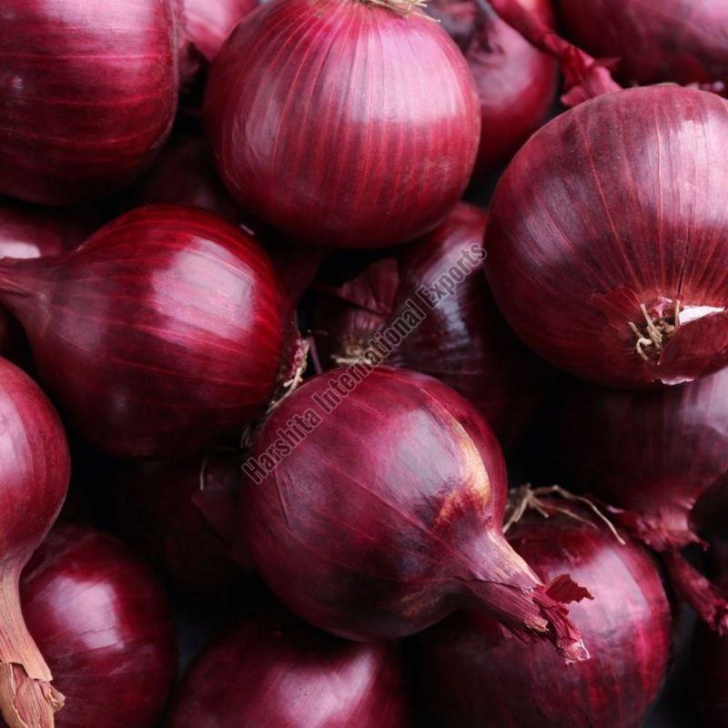 Fresh Red Onion