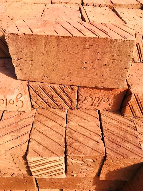 Wire Cut Bricks