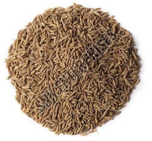 A Grade Cumin Seeds