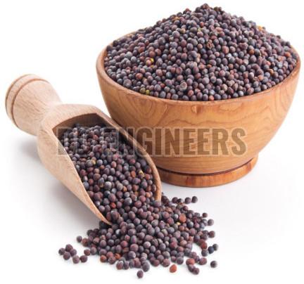 Black Mustard Seeds