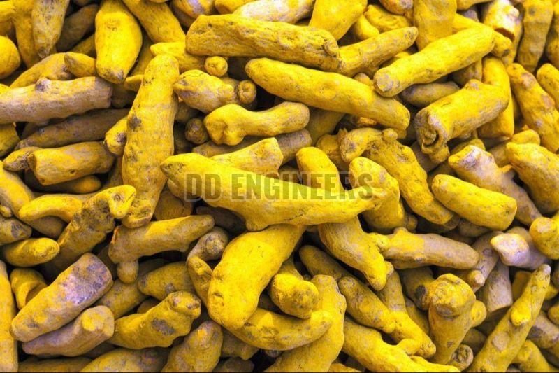 Chintapalli Turmeric Finger