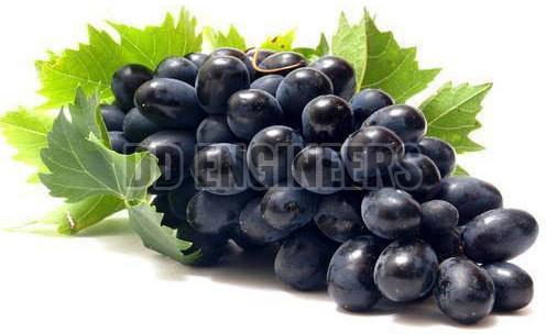 Fresh Black Grapes