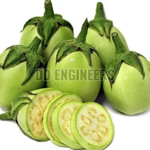 Grixisonsazia Green Brinjal Vegetable Seeds