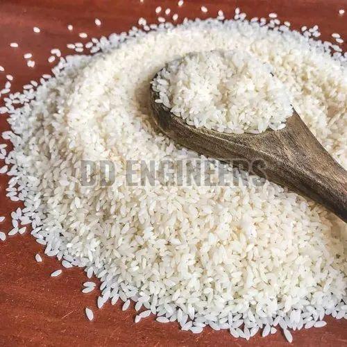 Short Grain Basmati Rice