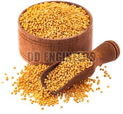 Yellow Mustard Seeds