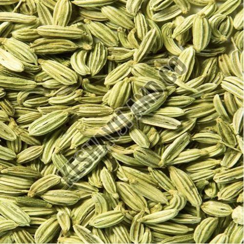 A Grade Fennel Seeds