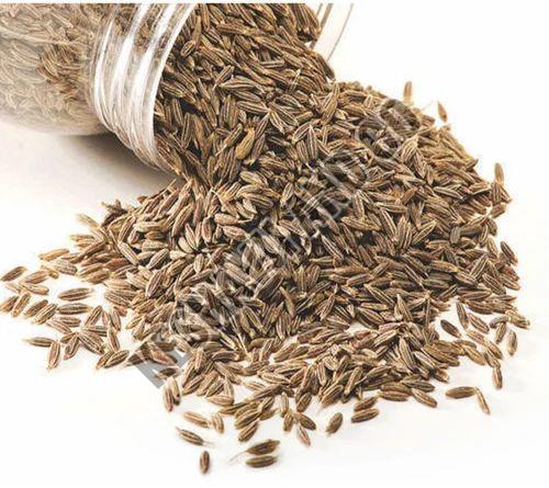 Dried Cumin Seeds