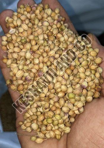 Eagle Coriander Seeds