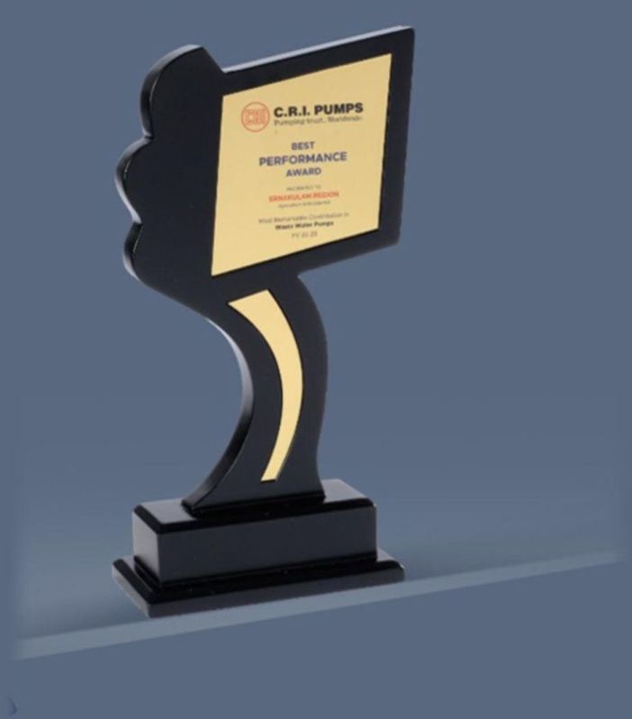 10.5 x 6.5 Inch Wooden Trophy