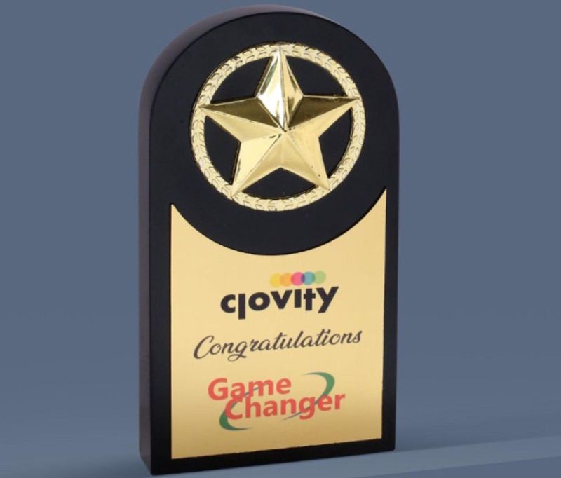 9.75 x 5.25 Inch Wooden Trophy