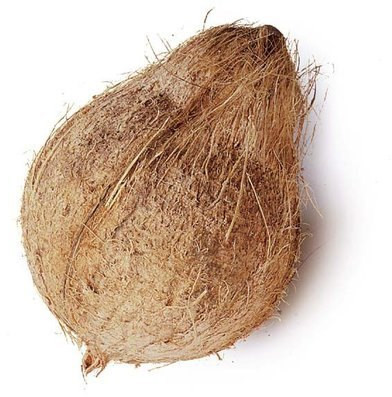 Natural Semi Husked Coconut