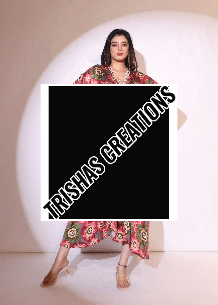 Style 653 Indo Western Dress