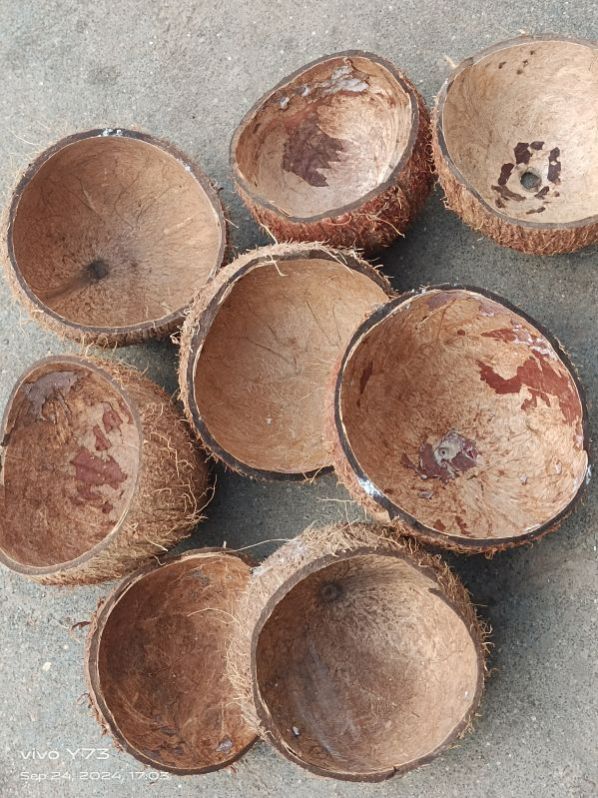 Dry Coconut Shell