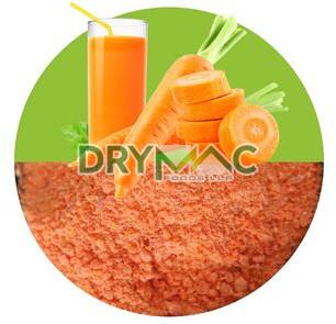 Carrot Powder