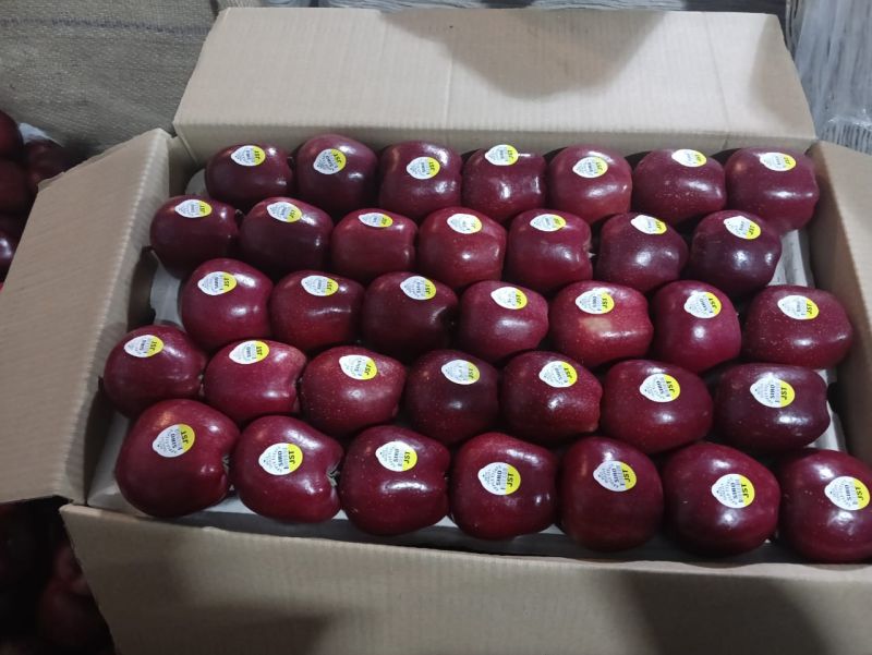 Fresh Apple