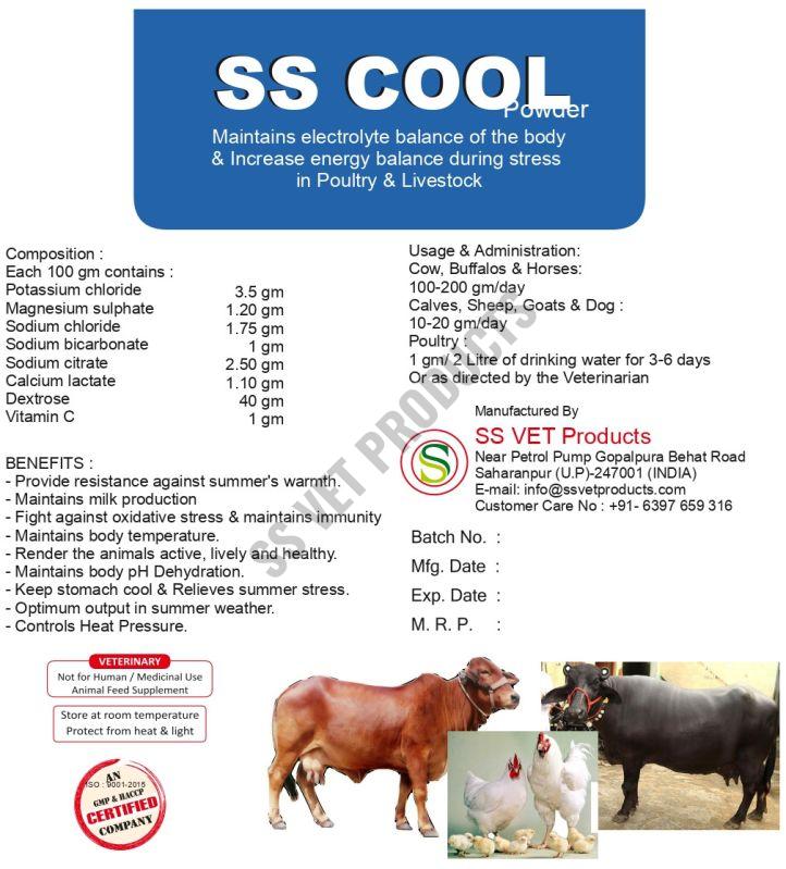 SS Cool Electrolyte Balance Powder