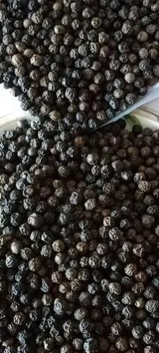 Dried Black Pepper Seeds