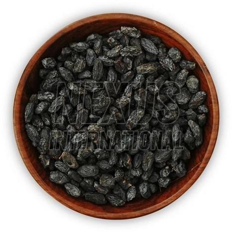 Black Regular Raisins