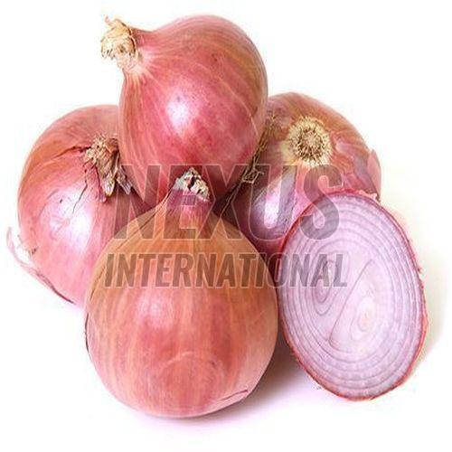 Fresh Pink Onion