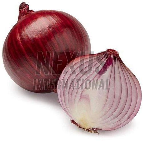 Fresh Red Onion