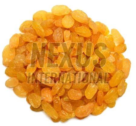 Golden Raisins