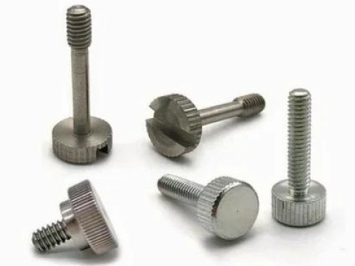 Stainless Steel Thumb Bolt