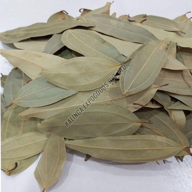 Dry Bay Leaf