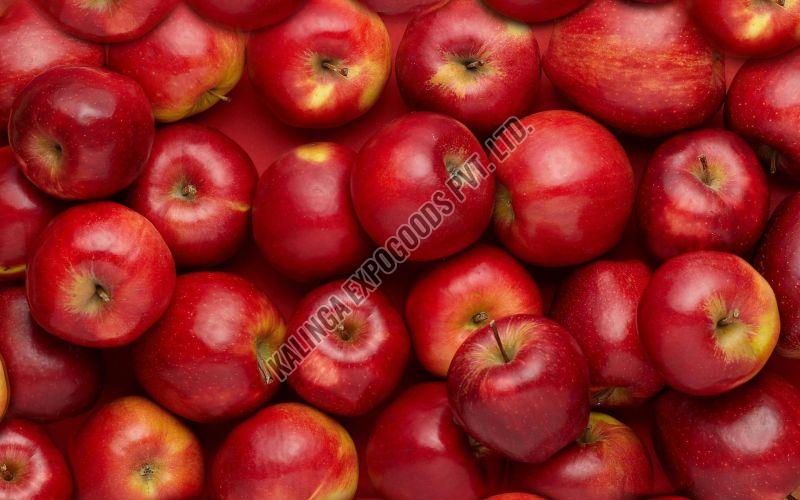 Fresh Juicy Apple
