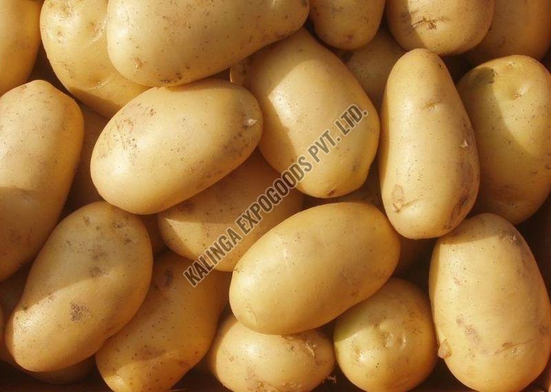 fresh potato