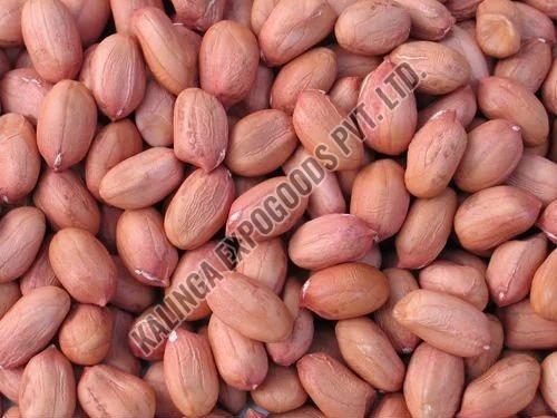 Groundnut