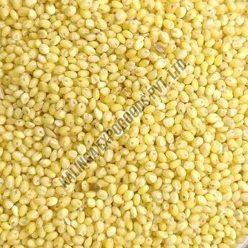 Organic Millet