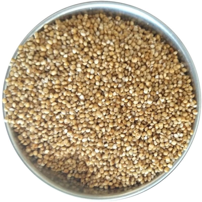 Kodo Millet Seeds