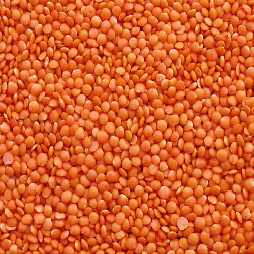 Whole Masoor Dal