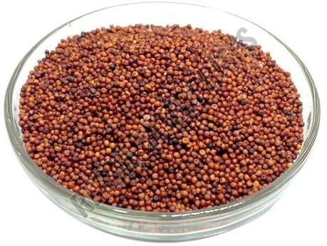 Finger Millet Seeds