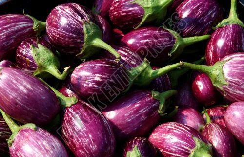 Fresh Eggplant Brinjal