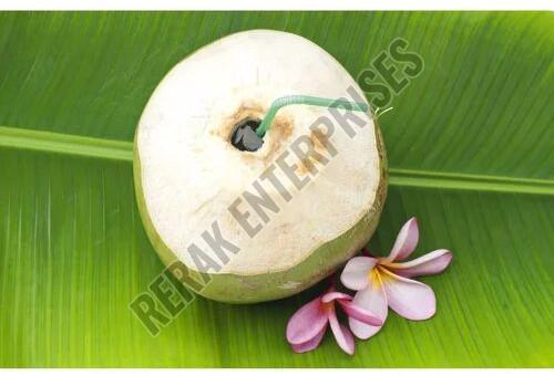 Peeled Tender Coconut