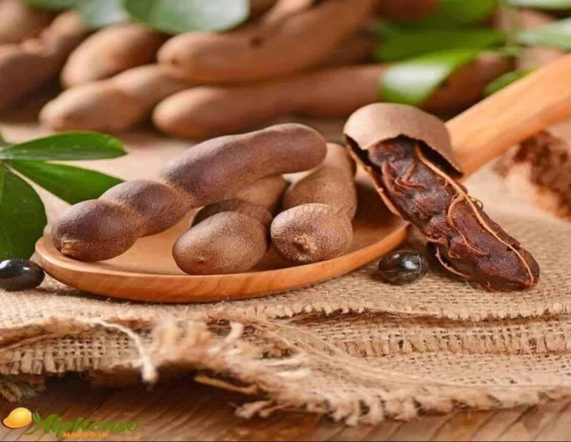 Brown Tamarind
