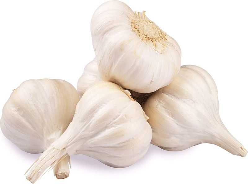 Natural Fresh Garlic