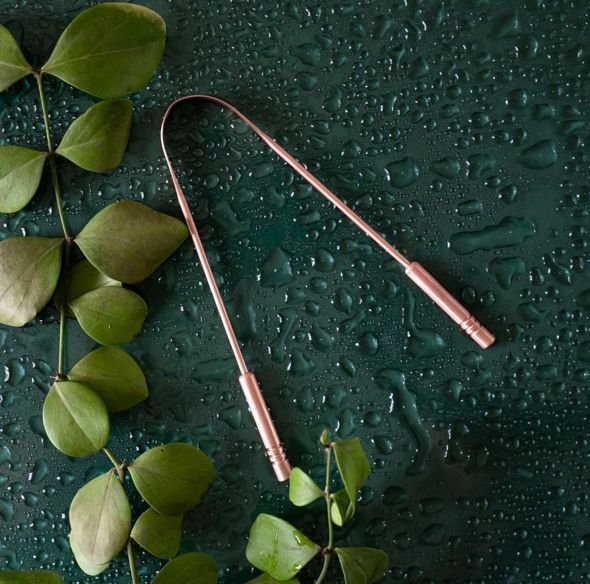 Copper Tongue Cleaner