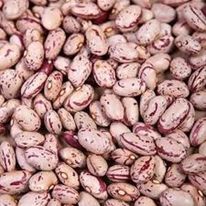 Chitra Kidney Beans