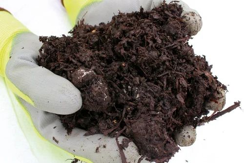 Mushroom Compost