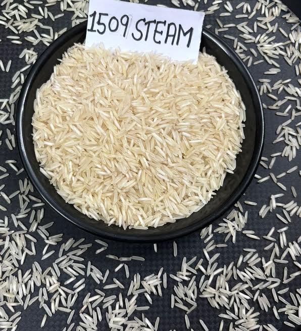 1509 White Basmati Steam Rice