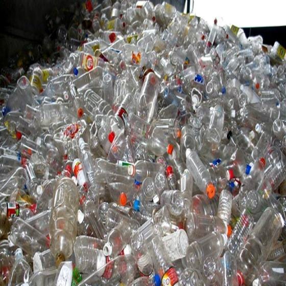 PET Bottle Scrap