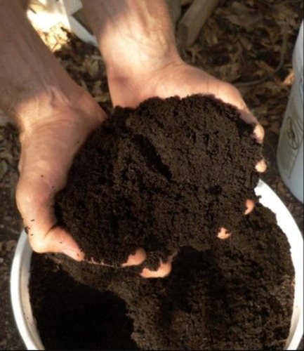 Black Vermicompost Fertilizer