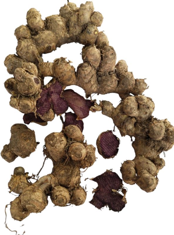 organic black ginger