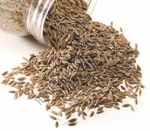 Cumin Seed