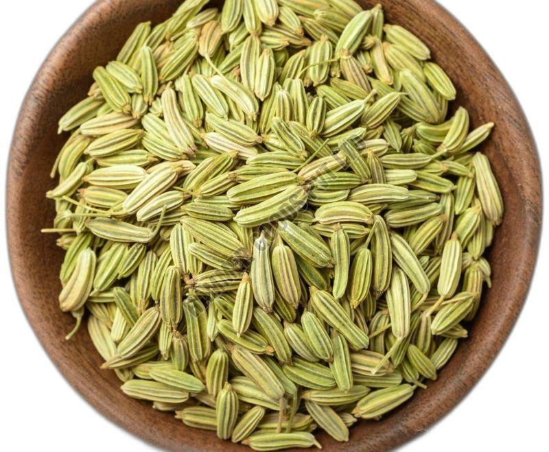 Fennel Seed