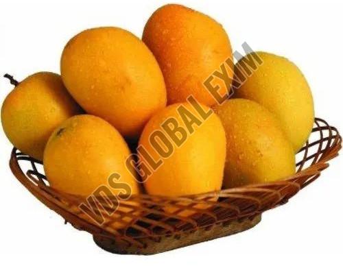 Fresh Alphonso Mango