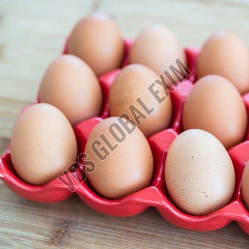 Fresh Brown Egg