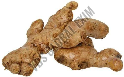 Fresh Mahim Ginger